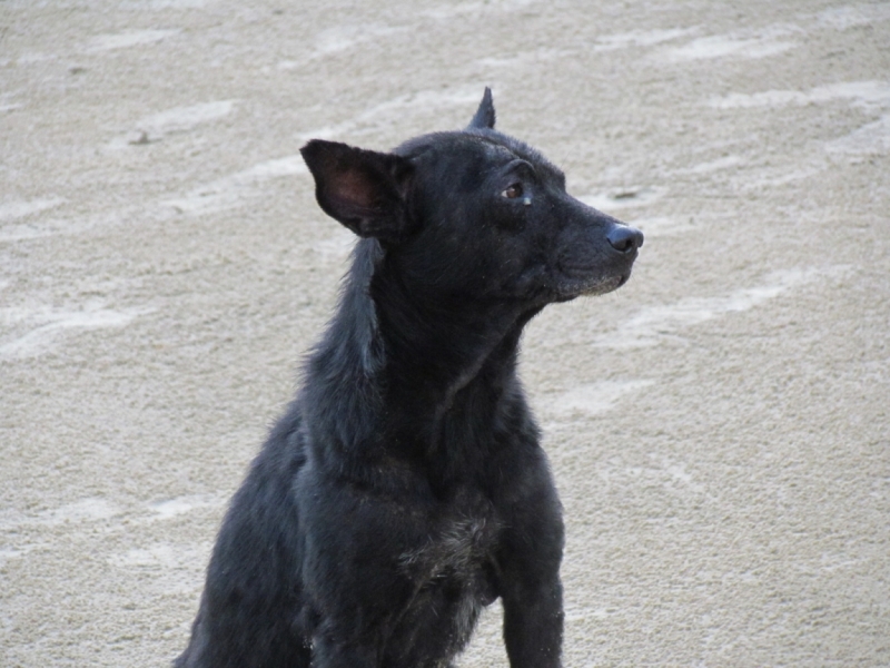Мой первый Тай или верните меня обратно и навсегда!