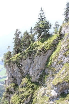 Из Москвы на побережье Адриатики в Италии. Москва - Лидо-Альтанеа - Москва