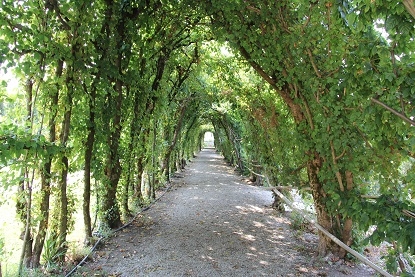 Из Москвы на побережье Адриатики в Италии. Москва - Лидо-Альтанеа - Москва