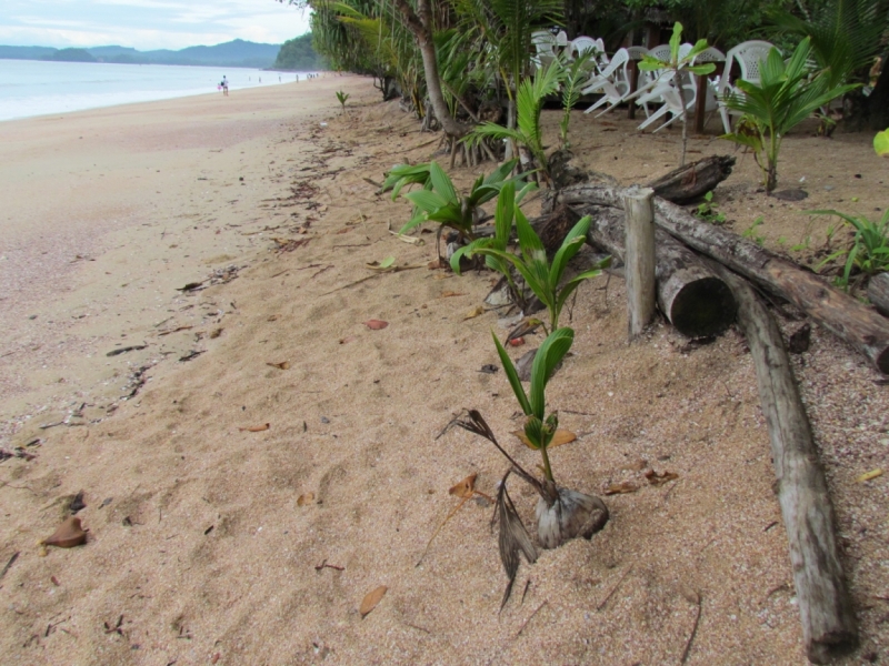 Мой первый Тай или верните меня обратно и навсегда!