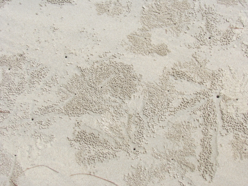 Мой первый Тай или верните меня обратно и навсегда!