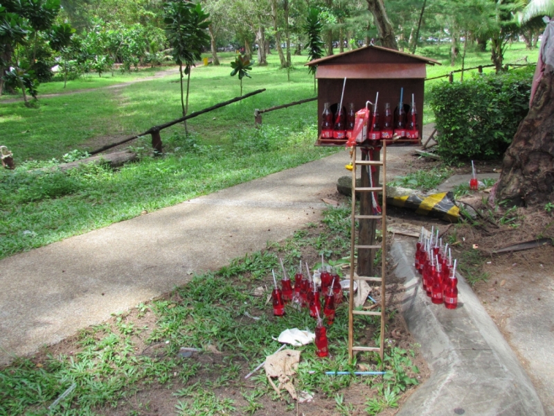 Мой первый Тай или верните меня обратно и навсегда!
