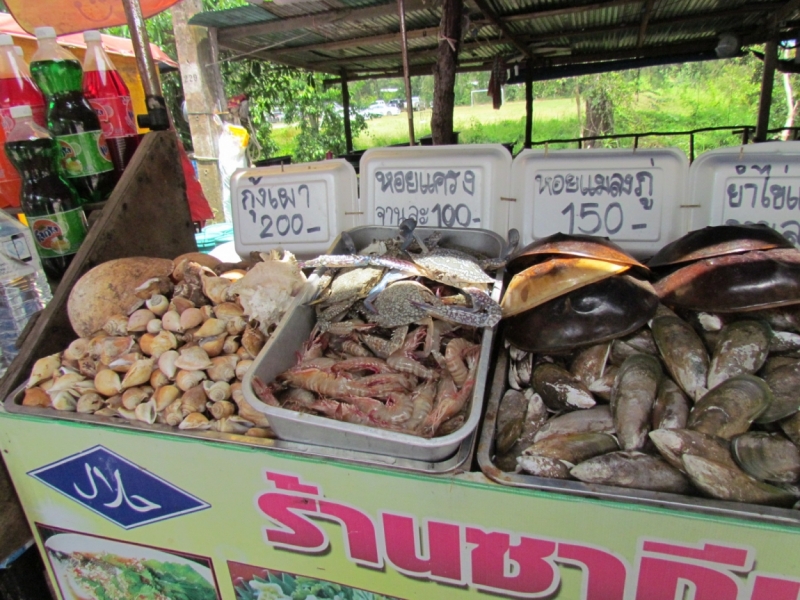 Мой первый Тай или верните меня обратно и навсегда!