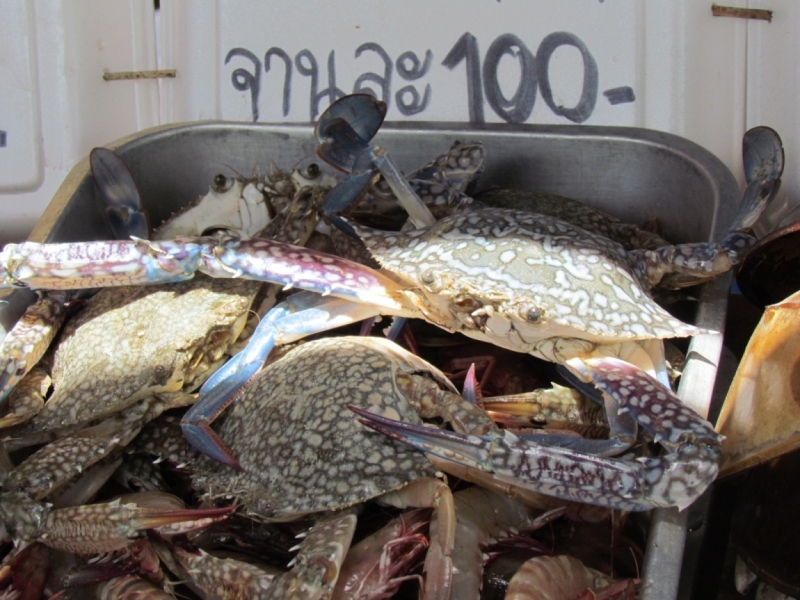 Мой первый Тай или верните меня обратно и навсегда!