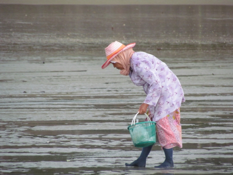 Мой первый Тай или верните меня обратно и навсегда!