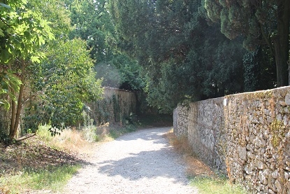 Из Москвы на побережье Адриатики в Италии. Москва - Лидо-Альтанеа - Москва