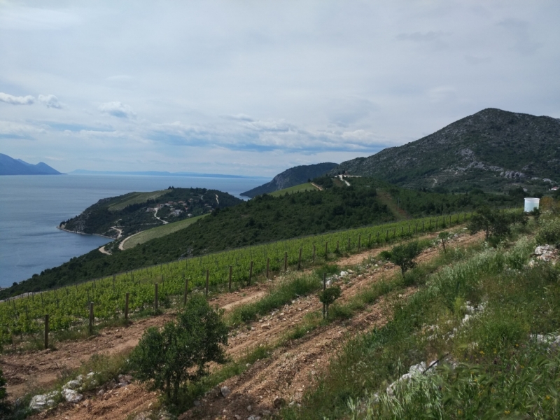 На велосипедах по Балканам и Апеннинам: 5 стран, 641 км и 1282 ругательства,..