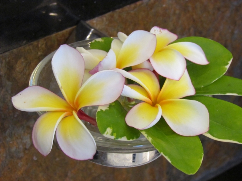 Мой первый Тай или верните меня обратно и навсегда!