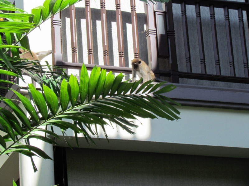 Мой первый Тай или верните меня обратно и навсегда!