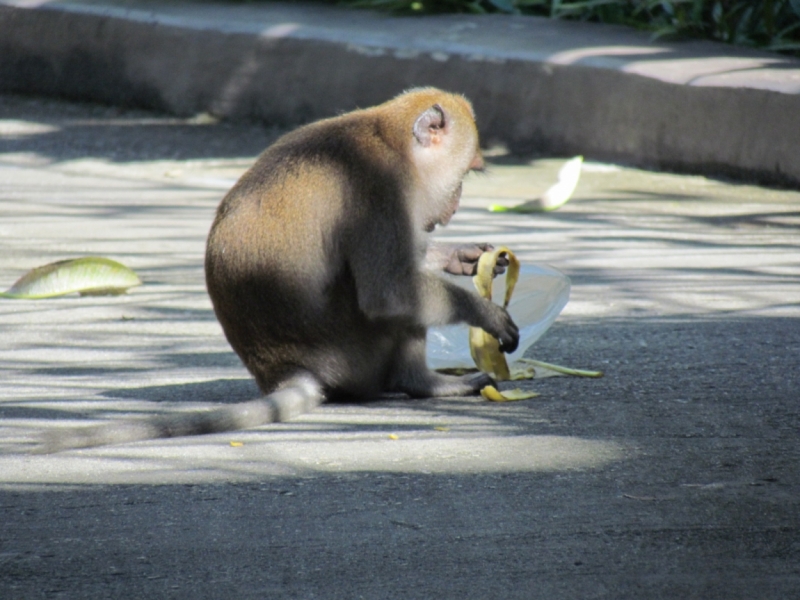 Мой первый Тай или верните меня обратно и навсегда!