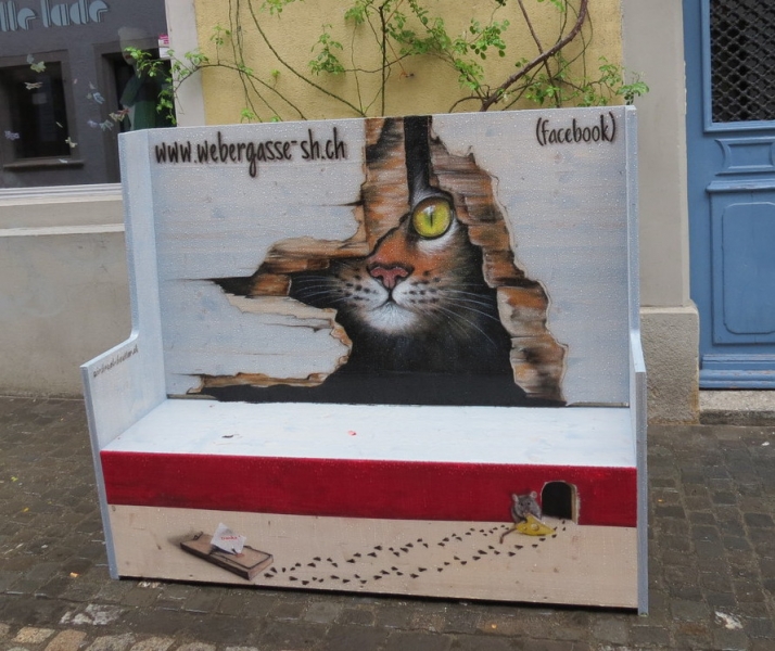 Поговорим о кошках39