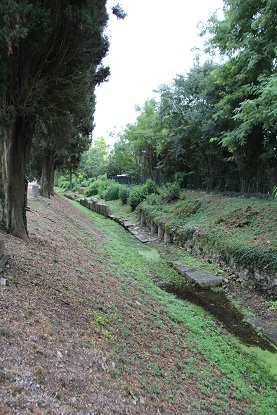 Из Москвы на побережье Адриатики в Италии. Москва - Лидо-Альтанеа - Москва