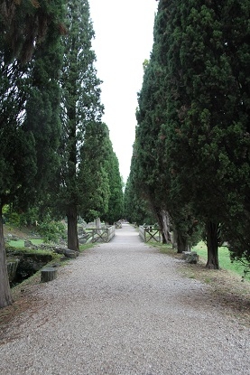 Из Москвы на побережье Адриатики в Италии. Москва - Лидо-Альтанеа - Москва