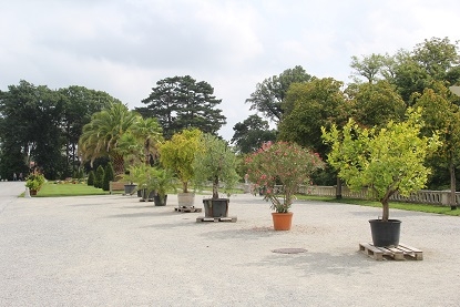 Из Москвы на побережье Адриатики в Италии. Москва - Лидо-Альтанеа - Москва