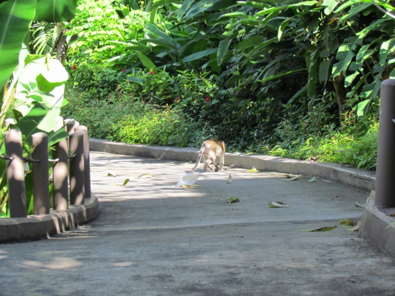 Мой первый Тай или верните меня обратно и навсегда!