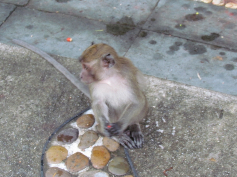 Мой первый Тай или верните меня обратно и навсегда!