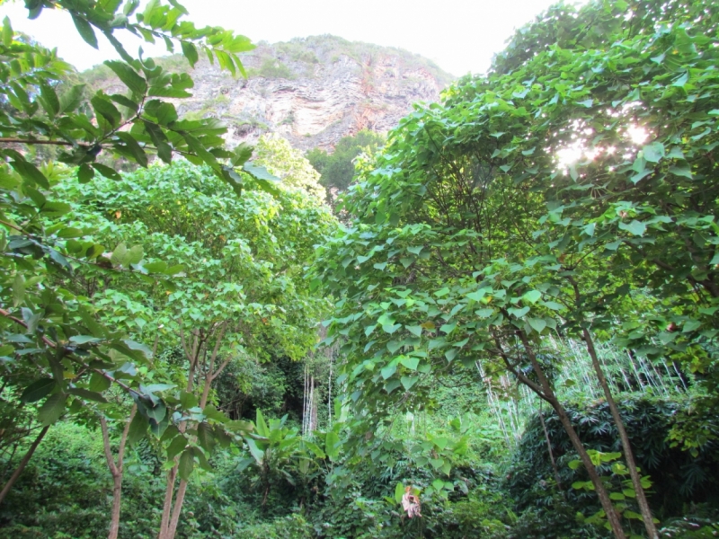 Мой первый Тай или верните меня обратно и навсегда!