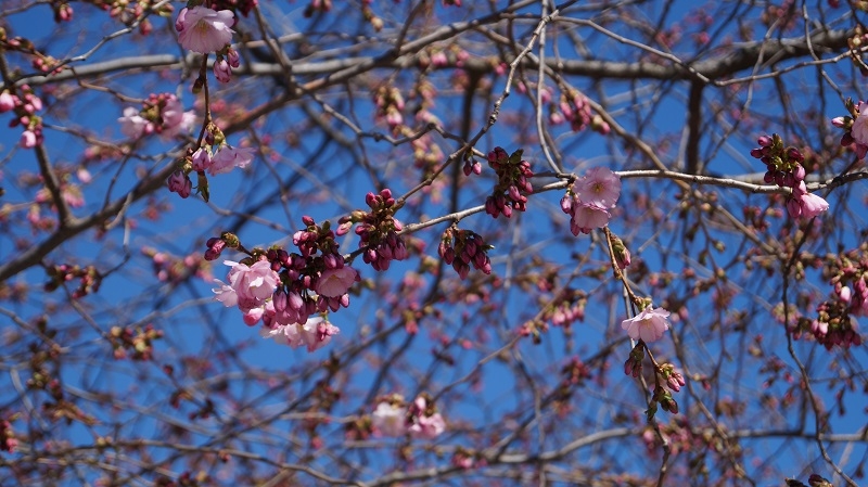 Апрельское путешествие. Финляндия, Эстония, Латвия и Стокгольм на пароме