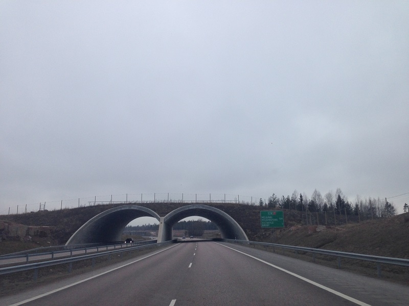 Апрельское путешествие. Финляндия, Эстония, Латвия и Стокгольм на пароме