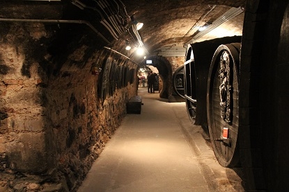 Из Москвы на побережье Адриатики в Италии. Москва - Лидо-Альтанеа - Москва