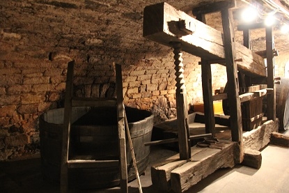 Из Москвы на побережье Адриатики в Италии. Москва - Лидо-Альтанеа - Москва