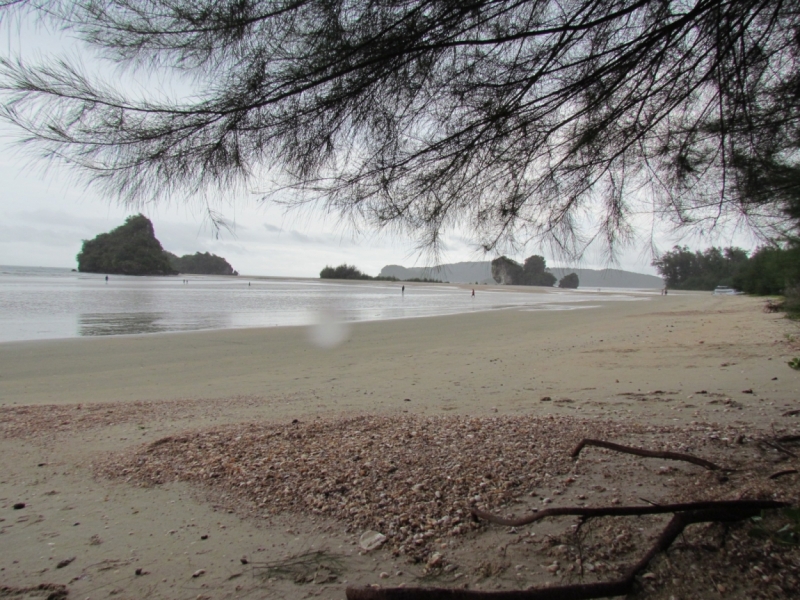 Мой первый Тай или верните меня обратно и навсегда!