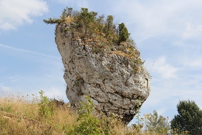 Из Москвы на побережье Адриатики в Италии. Москва - Лидо-Альтанеа - Москва