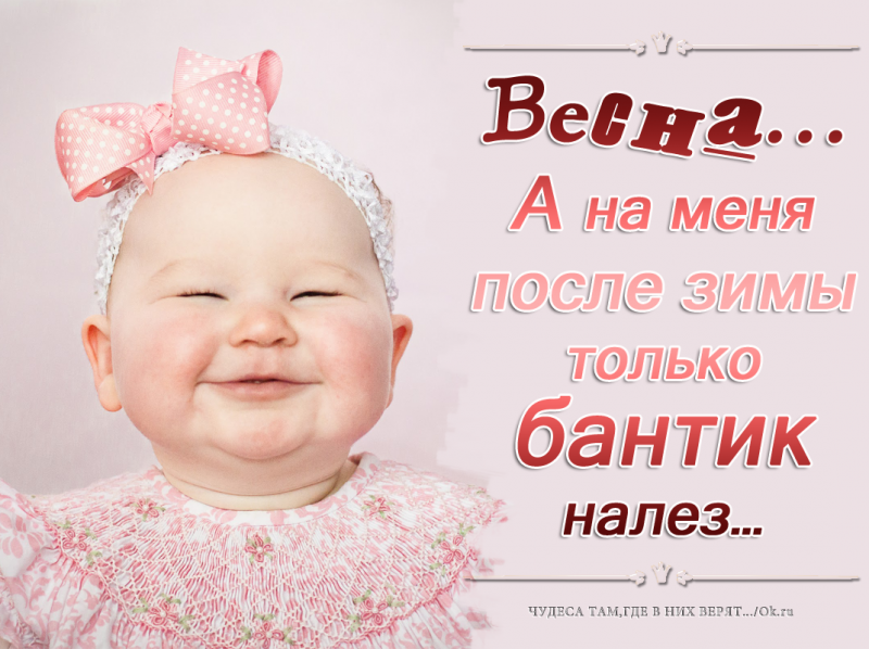 Поговорим о кошках39