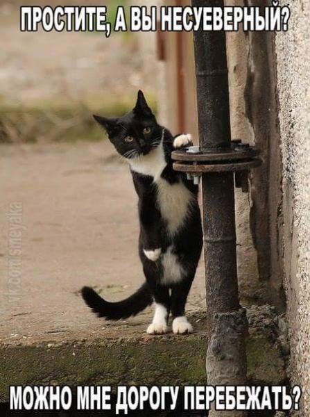 Принял на грудь, скажи что-нибудь! Трезвым вход запрещён!