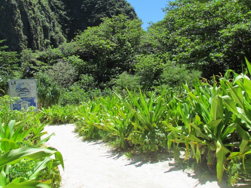 Мой первый Тай или верните меня обратно и навсегда!