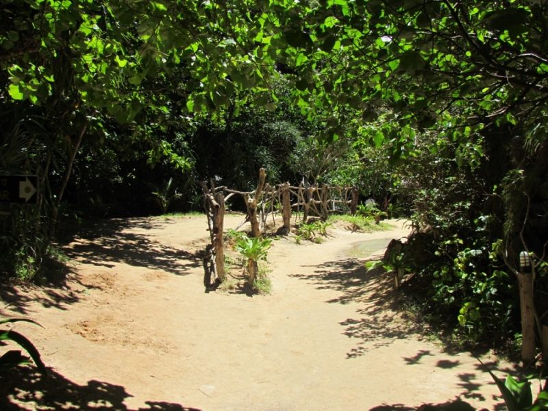 Мой первый Тай или верните меня обратно и навсегда!