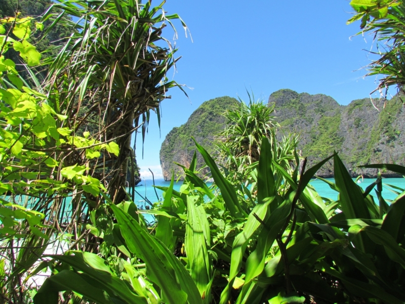 Мой первый Тай или верните меня обратно и навсегда!