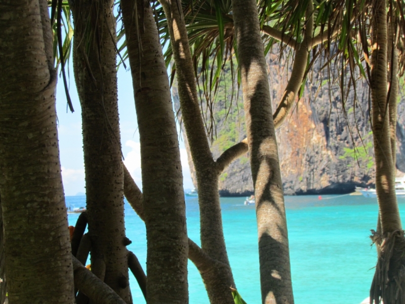 Мой первый Тай или верните меня обратно и навсегда!