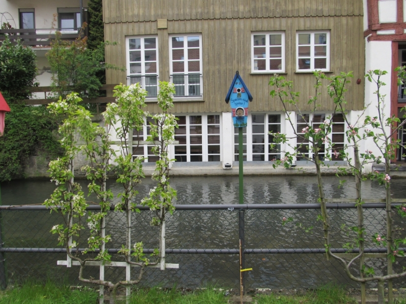 Чудесный Альгой и вокруг. Май 2016.Мемминген, Ульм, Ландсберг-на-Лехе , Кемптен, Линдау