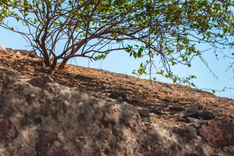 Март 2016 Информативно-транспортное. От Мумбая до Кералы