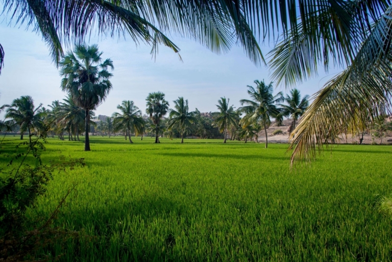 Март 2016 Информативно-транспортное. От Мумбая до Кералы