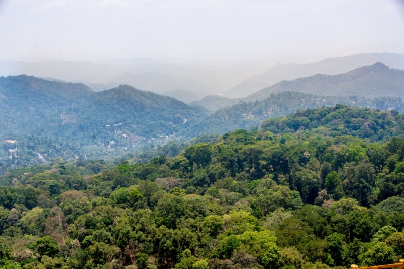 Март 2016 Информативно-транспортное. От Мумбая до Кералы