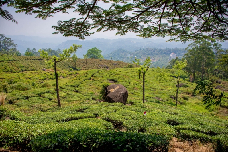 Март 2016 Информативно-транспортное. От Мумбая до Кералы