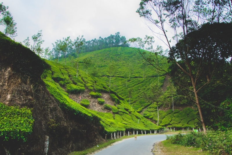 Март 2016 Информативно-транспортное. От Мумбая до Кералы