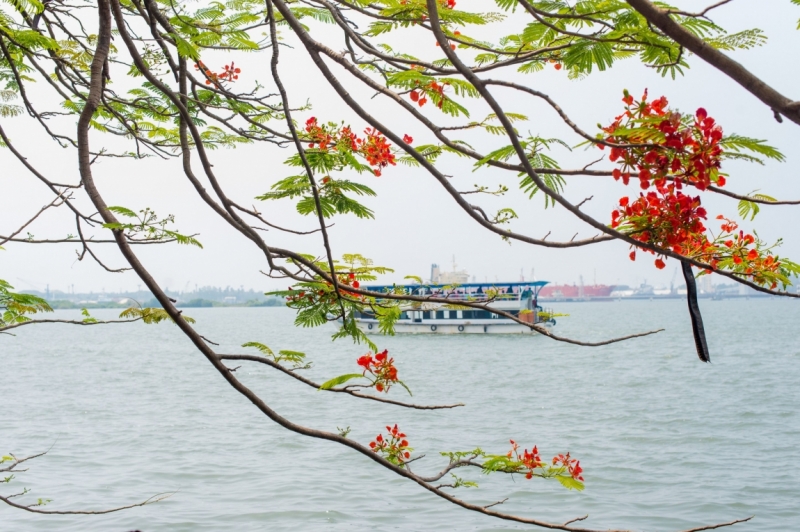 Март 2016 Информативно-транспортное. От Мумбая до Кералы