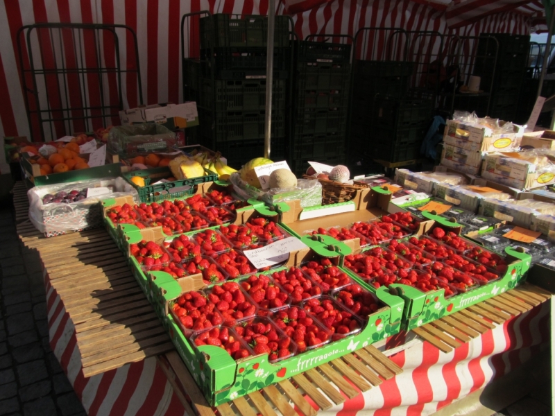 Чудесный Альгой и вокруг. Май 2016.Мемминген, Ульм, Ландсберг-на-Лехе , Кемптен, Линдау