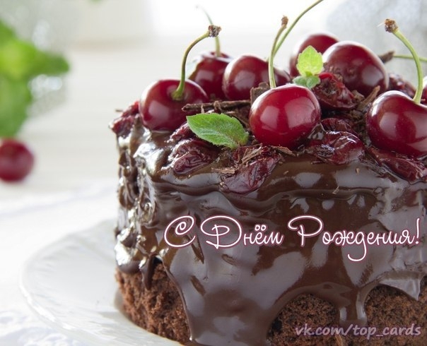 Поговорим о кошках40