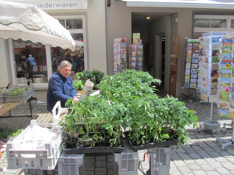 Чудесный Альгой и вокруг. Май 2016.Мемминген, Ульм, Ландсберг-на-Лехе , Кемптен, Линдау