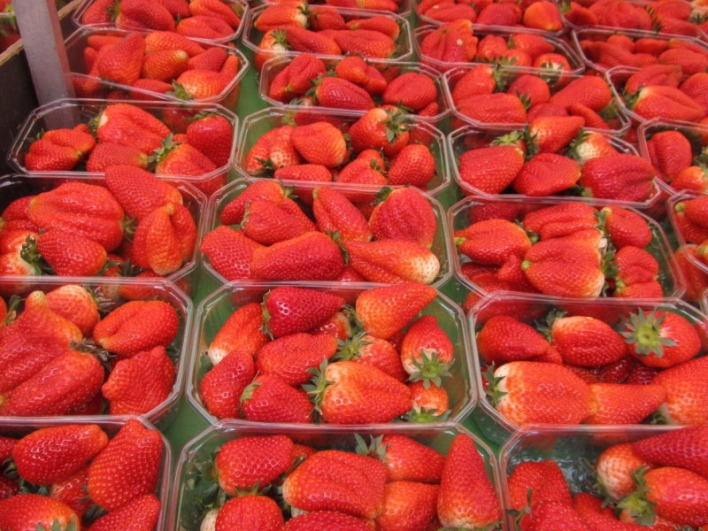 Чудесный Альгой и вокруг. Май 2016.Мемминген, Ульм, Ландсберг-на-Лехе , Кемптен, Линдау