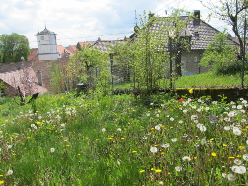 Чудесный Альгой и вокруг. Май 2016.Мемминген, Ульм, Ландсберг-на-Лехе , Кемптен, Линдау