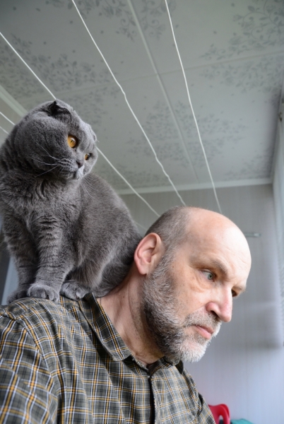 Поговорим о кошках40