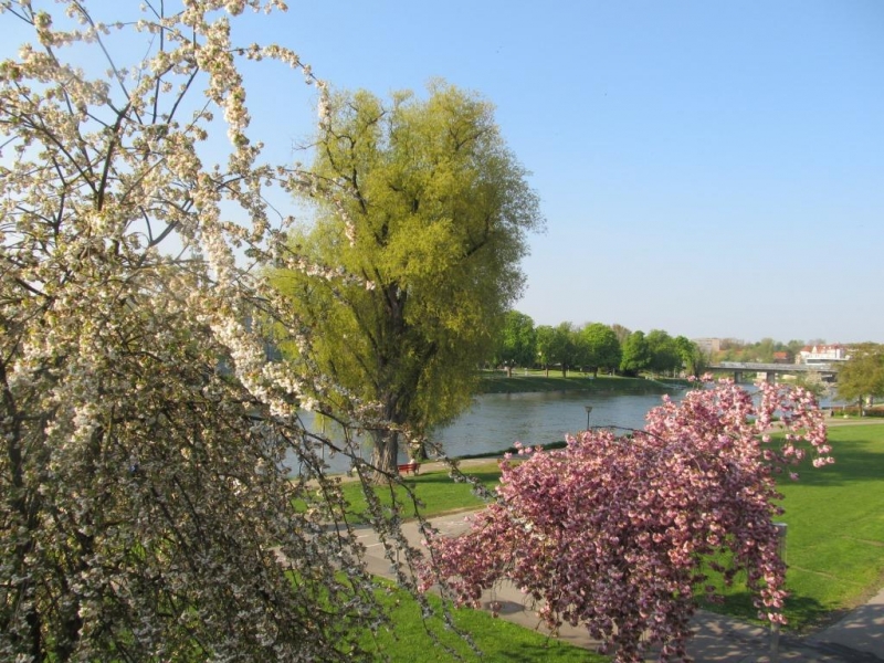 Чудесный Альгой и вокруг. Май 2016.Мемминген, Ульм, Ландсберг-на-Лехе , Кемптен, Линдау