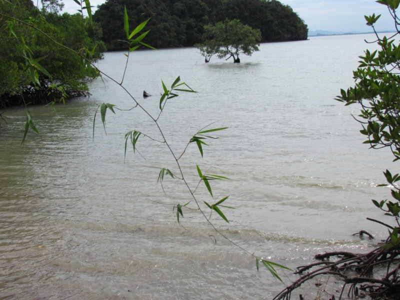 Мой первый Тай или верните меня обратно и навсегда!