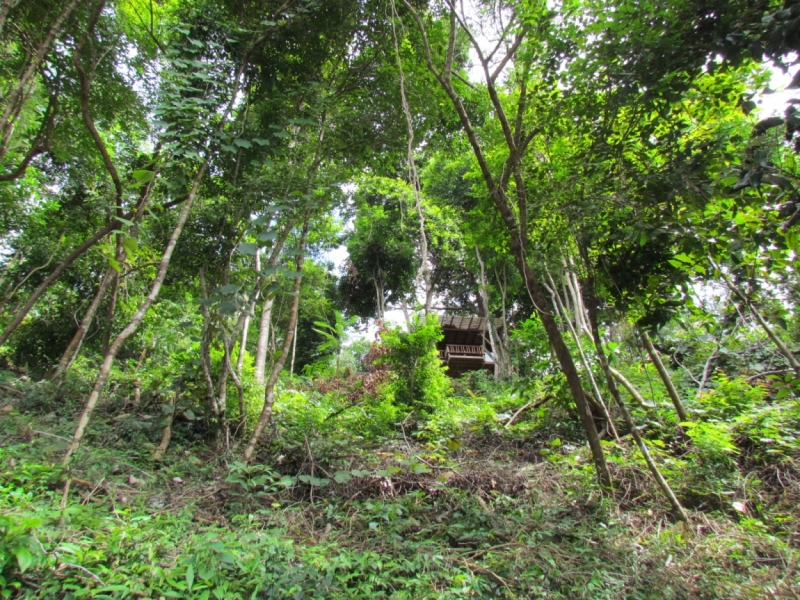 Мой первый Тай или верните меня обратно и навсегда!