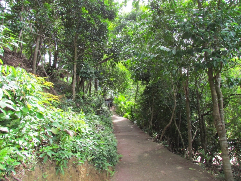 Мой первый Тай или верните меня обратно и навсегда!